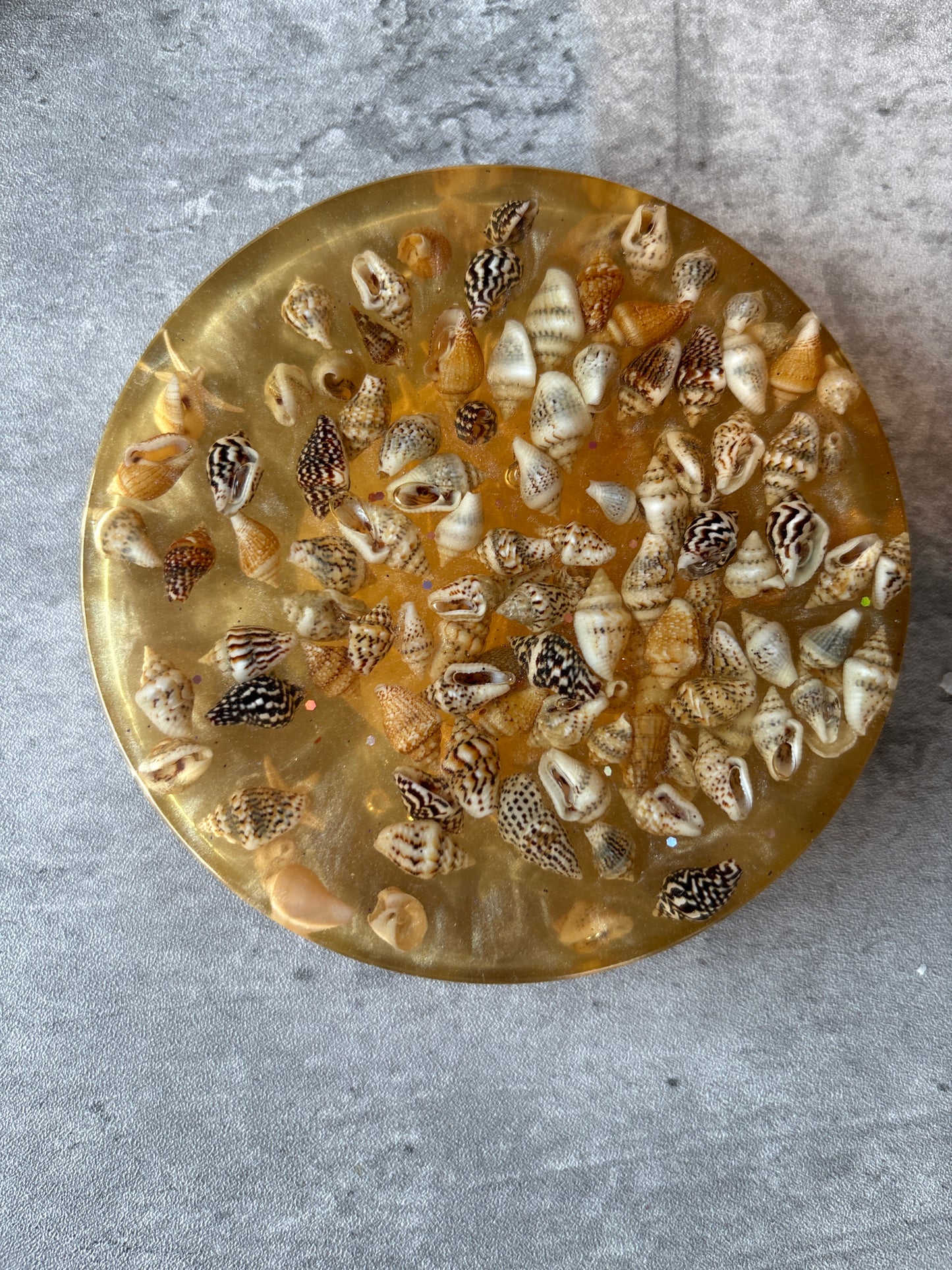 4pc Round Large Coasters/Paper Weights